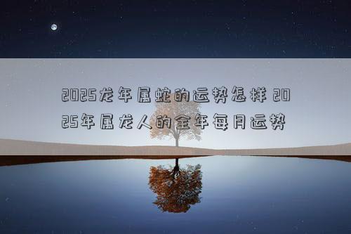 2025龙年属蛇的运势怎样 2025年属龙人的全年每月运势