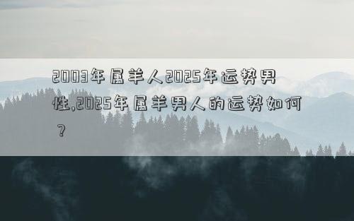 2003年属羊人2025年运势男性,2025年属羊男人的运势如何？