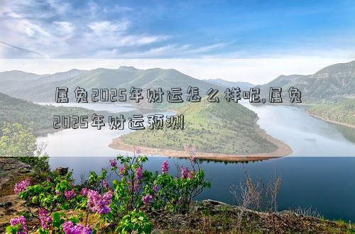 属兔2025年财运怎么样呢,属兔2025年财运预测
