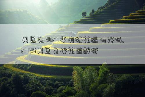 男属兔2025年有桃花运吗好吗,2025男属兔桃花运解析