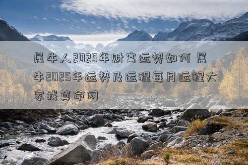 属牛人2025年财富运势如何 属牛2025年运势及运程每月运程大家找算命网