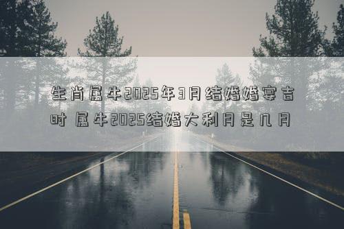生肖属牛2025年3月结婚婚宴吉时 属牛2025结婚大利月是几月