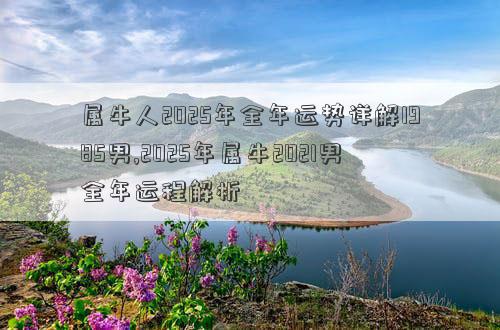 属牛人2025年全年运势详解1985男,2025年属牛2021男全年运程解析
