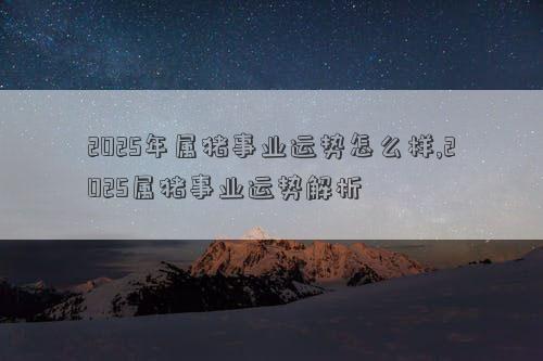 2025年属猪事业运势怎么样,2025属猪事业运势解析