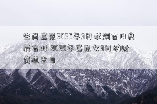 生肖属鼠2025年3月求嗣吉日良辰吉时 2025年属鼠女3月纳财黄道吉日