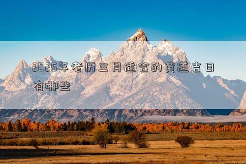 2025年老历三月适合的黄道吉日有哪些