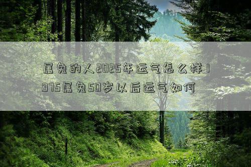 属兔的人2025年运气怎么样 1975属兔50岁以后运气如何