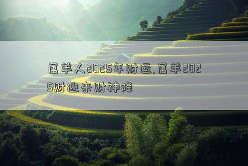 属羊人2025年财运,属羊2025财迎来财神降