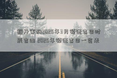 避开害狗2025年3月领证吉日时辰吉凶 2025年领证吉日一览表