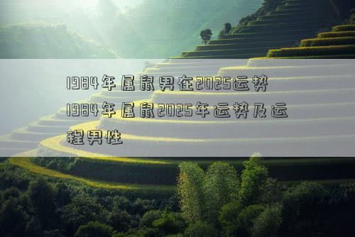 1984年属鼠男在2025运势 1984年属鼠2025年运势及运程男性