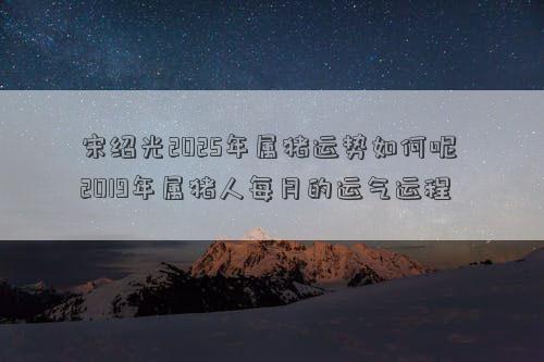 宋绍光2025年属猪运势如何呢 2019年属猪人每月的运气运程