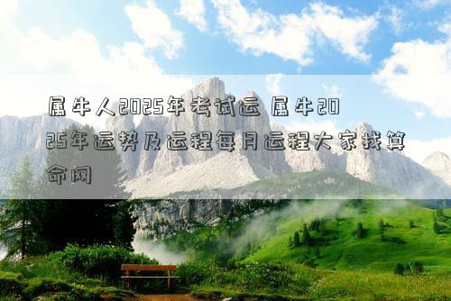 属牛人2025年考试运 属牛2025年运势及运程每月运程大家找算命网