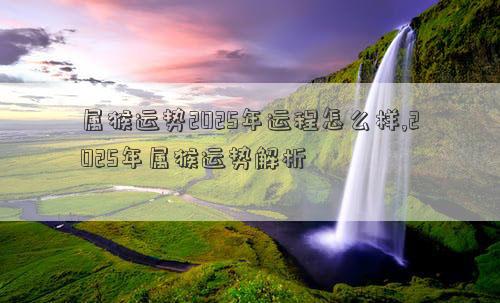 属猴运势2025年运程怎么样,2025年属猴运势解析