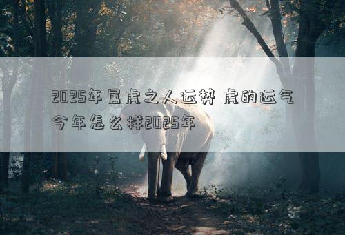 2025年属虎之人运势 虎的运气今年怎么样2025年