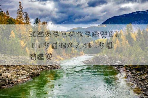 2025龙年属猪全年运势1971 1971年属猪的人2025年感情运势