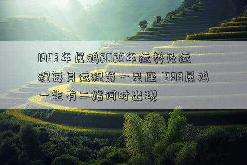 1993年属鸡2025年运势及运程每月运程第一星座 1993属鸡一生有二婚何时出现