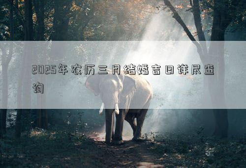 2025年农历三月结婚吉日详尽查询