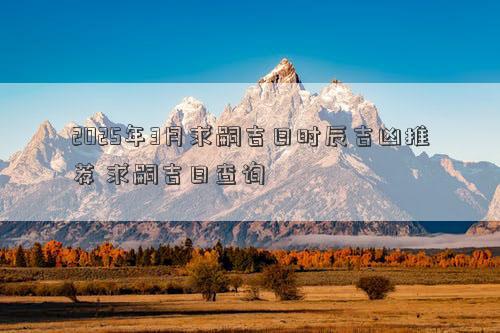 2025年3月求嗣吉日时辰吉凶推荐 求嗣吉日查询