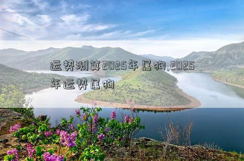 运势测算2025年属狗,2025年运势属狗