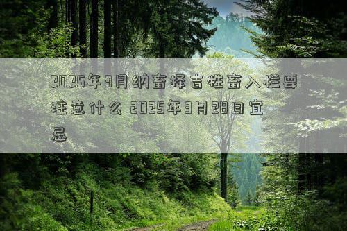 2025年3月纳畜择吉牲畜入栏要注意什么 2025年3月28日宜忌