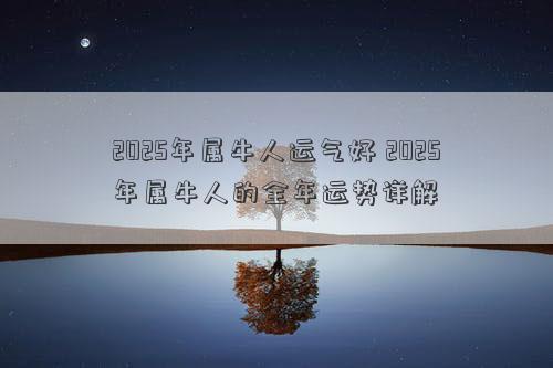 2025年属牛人运气好 2025年属牛人的全年运势详解