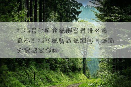 2025属牛的幸运颜色是什么呢 属牛2025年运势及运程每月运程大家找算命网