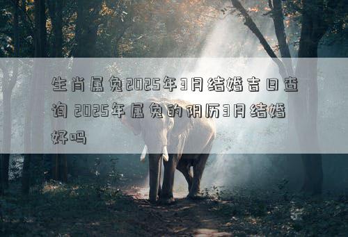 生肖属兔2025年3月结婚吉日查询 2025年属兔的阴历3月结婚好吗