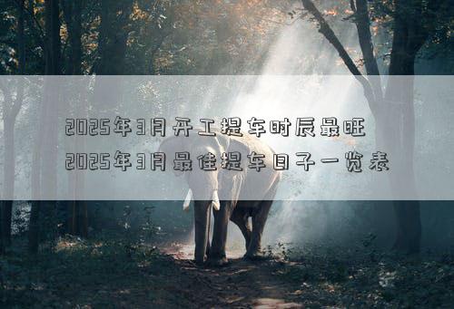 2025年3月开工提车时辰最旺 2025年3月最佳提车日子一览表