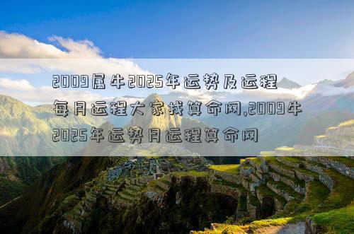 2009属牛2025年运势及运程每月运程大家找算命网,2009牛2025年运势月运程算命网