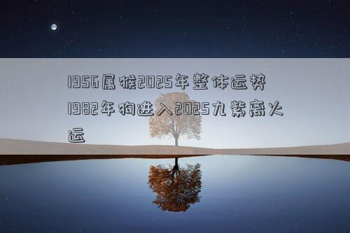 1956属猴2025年整体运势 1982年狗进入2025九紫离火运