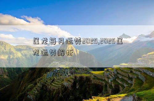 属龙每月运势2025,2025属龙运势解析