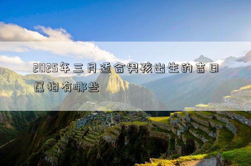 2025年三月适合男孩出生的吉日属相有哪些
