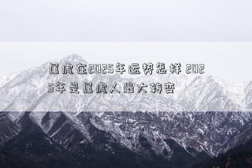 属虎在2025年运势怎样 2025年是属虎人最大转变