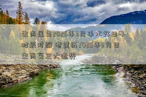 生肖属兔2025年3月手术好日子时辰对照 老黄历2025年3月日生肖兔三大运势