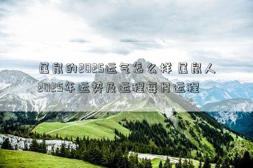 属鼠的2025运气怎么样 属鼠人2025年运势及运程每月运程