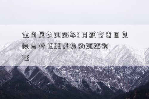生肖属兔2025年3月纳畜吉日良辰吉时 1999属兔的2025领证