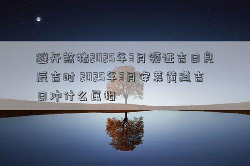 避开煞猪2025年3月领证吉日良辰吉时 2025年3月安葬黄道吉日冲什么属相