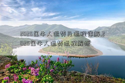 2025属牛人运势及运程详解,2025属牛人运势运程解析