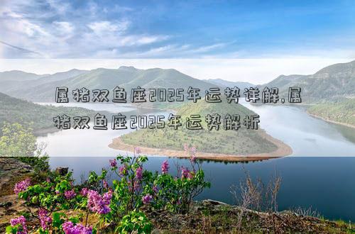 属猪双鱼座2025年运势详解,属猪双鱼座2025年运势解析