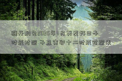 避开刑兔2025年3月剪发好日子时辰对照 子丑寅卯十二时辰对照表