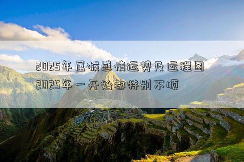 2025年属猴感情运势及运程图 2025年一开始都特别不顺
