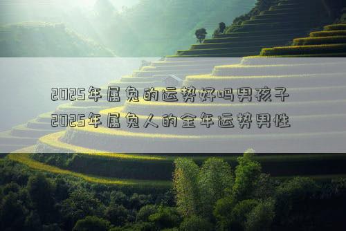 2025年属兔的运势好吗男孩子 2025年属兔人的全年运势男性
