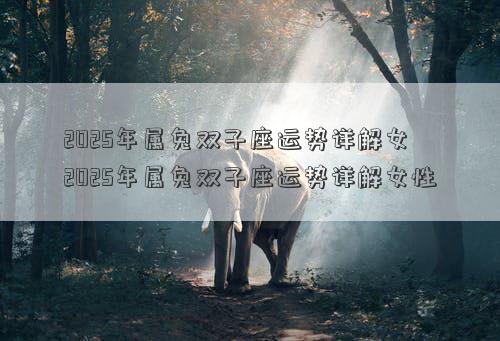 2025年属兔双子座运势详解女 2025年属兔双子座运势详解女性
