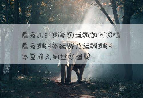 属龙人2025年的运程如何样呢 属龙2025年运势及运程2025年属龙人的全年运势