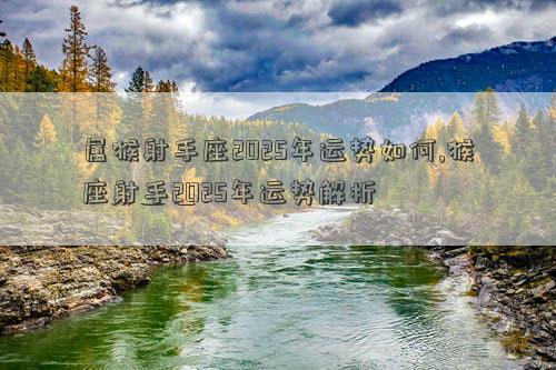 属猴射手座2025年运势如何,猴座射手2025年运势解析