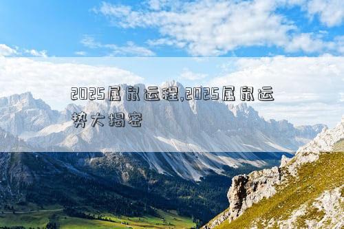 2025属鼠运程,2025属鼠运势大揭密