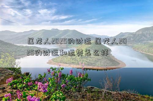 属龙人2025的财运 属龙人2025的财运和运势怎么样