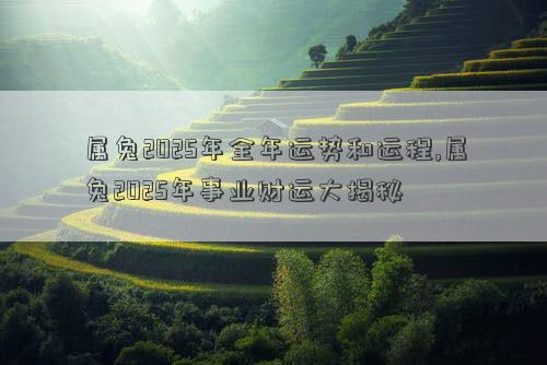 属兔2025年全年运势和运程,属兔2025年事业财运大揭秘