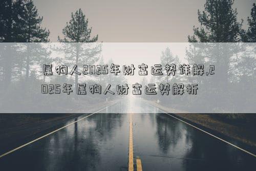 属狗人2025年财富运势详解,2025年属狗人财富运势解析