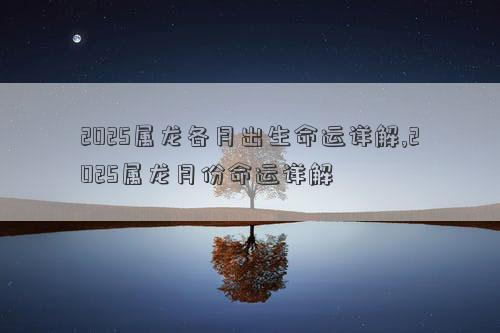 2025属龙各月出生命运详解,2025属龙月份命运详解